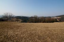 Österreich /  / Stallhofen
