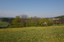 Österreich /  / Stallhofen