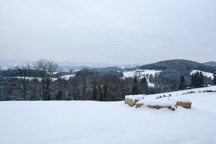 Österreich /  / Stallhofen