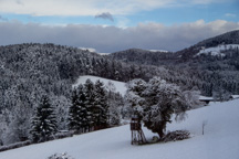Österreich /  / Stallhofen
