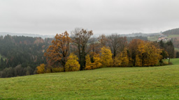 Österreich / Steiermark / Stallhofen
