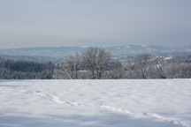 Österreich /  / Stallhofen