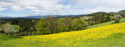 Österreich / Steiermark / Stallhofen