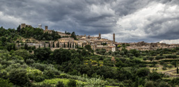 Italien / Toskana / Montalcino
