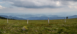 Österreich / Steiermark / Terenbachalm