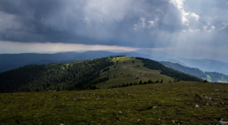 Österreich / Steiermark / Terenbachalm