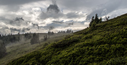 Österreich / Steiermark / Terenbachalm