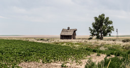 USA / Washington / Coulee City