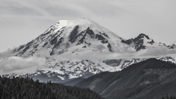 USA / Washington / Mount Rainier