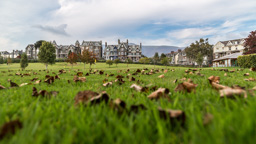 England /  / Keswick