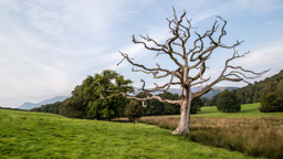 England /  / Keswick