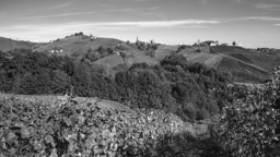 Österreich / Steiermark / Gamlitz