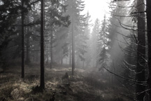 Österreich / Steiermark / Krautwasch