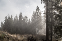 Österreich / Steiermark / Krautwasch