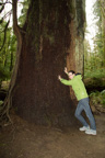 Kanada / Britisch-Kolumbien / Cathedral Grove