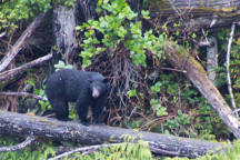 Kanada / Britisch-Kolumbien / Port Alberni