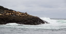 Kanada / Britisch-Kolumbien / Tofino