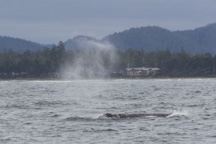 Kanada / Britisch-Kolumbien / Tofino
