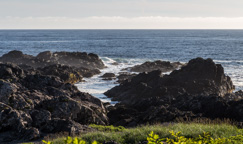 Kanada / Britisch-Kolumbien / Ucluelet