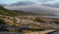 Kanada / Britisch-Kolumbien / Tofino