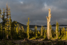 Kanada / Britisch-Kolumbien / Tofino
