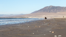 Chile /  / Huasco