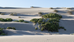 Chile /  / Huasco