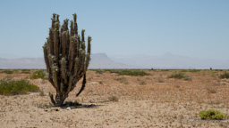 Chile /  / Huasco