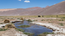 Chile /  / Paso de San Francisco