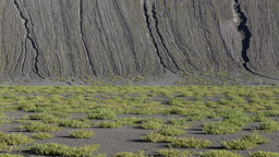 Chile /  / Paso de San Francisco