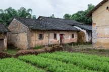 China /  / Yangshuo