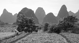 China /  / Yangshuo