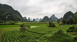 China /  / Yangshuo