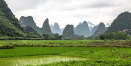 China /  / Yangshuo