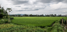 China /  / Kaiping