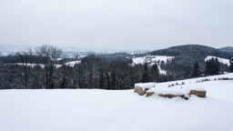 Österreich /  / Stallhofen