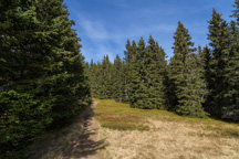 Österreich / Steiermark / Rappold