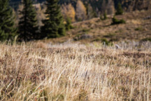 Österreich / Steiermark / Rappold
