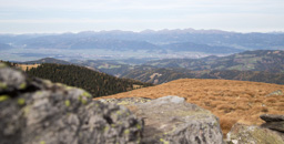 Österreich / Steiermark / Rappold