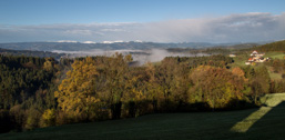 Österreich / Steiermark / Stallhofen