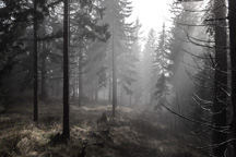 Österreich / Steiermark / Krautwasch