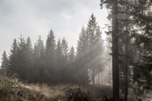 Österreich / Steiermark / Krautwasch