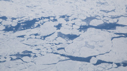 Kanada / Neufundland / White Bear Island