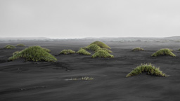 Island /  / Stokksnes