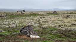 Island /  / Pingvellir