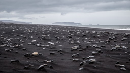 Island /  / Solheimasandur beach