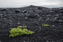 Island /  / Solheimasandur beach