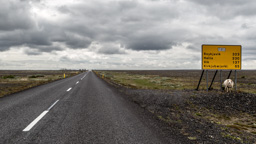 Island /  / Skaftafell