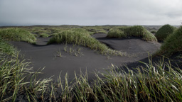 Island /  / Stokksnes