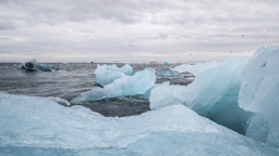 Island /  / Jökulsarlon